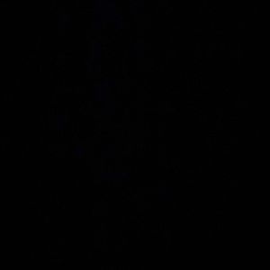 Meet your Posher, Scarlett